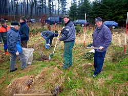 Bei einer Pflanzschulung im Rechtlerwald Mörgen konnten die Waldwarte die Vorteile des Hohlspatens bei Großpflanzen gegenüber der Winkelpflanzung selbst ausprobieren.